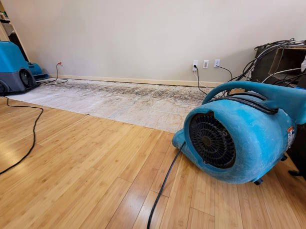 Professional Basement Flood Cleanup technician working in Newcastle, CA